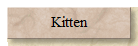 Kitten